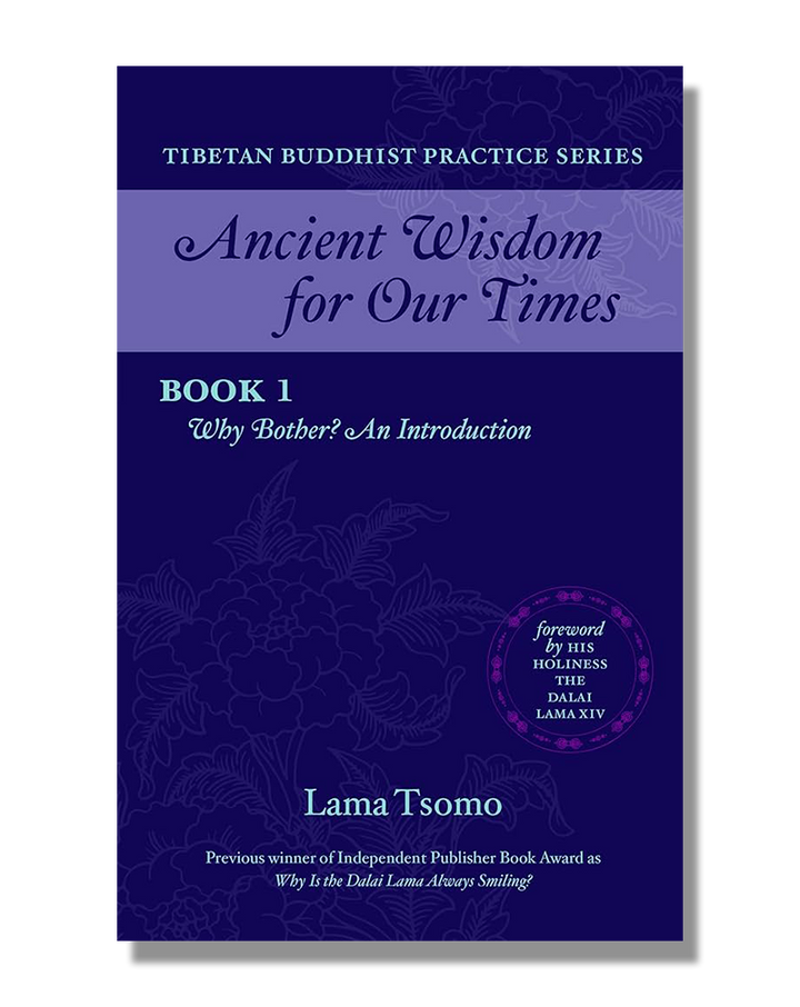 Ancient Wisdom for Our Times: Why Bother? An Introduction (Book 1)