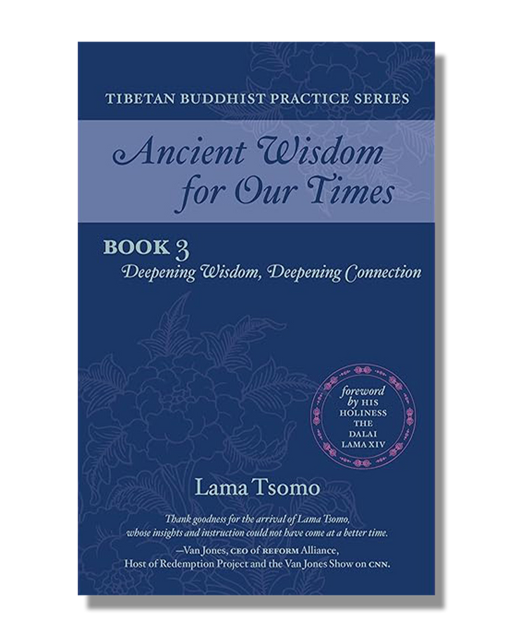 Ancient Wisdom for Our Times: Deepening Wisdom, Deepening Connection (Book 3)