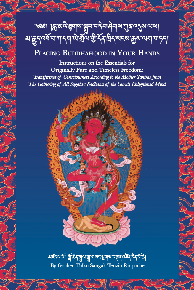 Cover image of Placing Buddhahood In Your Hands
